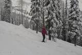 NNA Tall Timber Rd - Photo 26