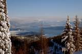 NNA Tall Timber Rd - Photo 4