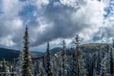 NNA Tall Timber Rd - Photo 42
