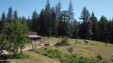 265 Lower Manley Creek - Photo 60