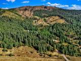 1015 Fork Coon Creek Rd - Photo 8