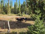 950 Old Range Rd - Photo 35