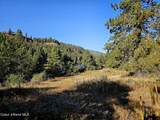 34 and 134 Bear Paw Lane - Photo 46