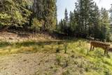 NNA Dirks Rd - Photo 27
