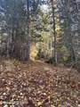 30.91acs French Gulch Rd - Photo 14