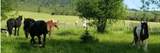 1565 Little Carpenter Creek Road - Photo 32