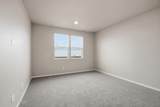 3349 Corvus St - Photo 11