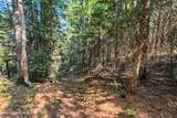 344 Upper Gold Creek Road - Photo 54