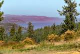 NKA Lisa Rd - Photo 25