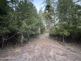 524 Glacier Loop - Photo 48