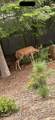 2252 Gypsy Bay Rd - Photo 12