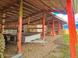 31401 Highway 3 - Photo 17
