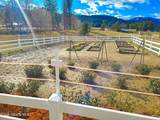 31401 Highway 3 - Photo 64