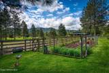 415 Shale Rd - Photo 40