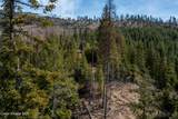 657 Fox Creek Spur - Photo 30