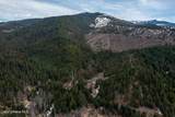 657 Fox Creek Spur - Photo 37