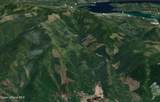 657 Fox Creek Spur - Photo 45
