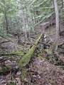 940 Sled Run Trl - Photo 4