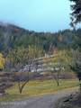 4456 Side Rd - Photo 60