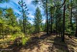 13168 Clauson Trl - Photo 66