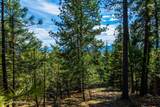 13168 Clauson Trl - Photo 67