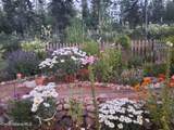 16232 1ST St - Photo 3