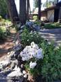 16232 1ST St - Photo 5