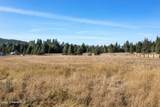 2376 Little Blacktail Rd - Photo 49