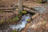 12515 Baldy Mountain Rd - Photo 1