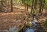 12515 Baldy Mountain Rd - Photo 69