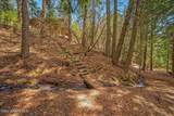 12515 Baldy Mountain Rd - Photo 77