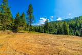 20308 Canary Creek Road - Photo 10
