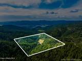 20308 Canary Creek Road - Photo 13