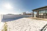 11559 Entwistle Way - Photo 51