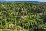 3813 Upriver Dr - Photo 51