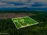 27464 Timber Ridge Road - Photo 52