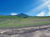 2915 Hangman Creek Road - Photo 3