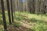 552 Outback Loop - Photo 34