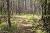 552 Outback Loop - Photo 35
