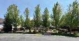 4408 Meadow Ranch Ave - Photo 18