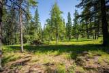 238 Black Sheep Rd - Photo 44