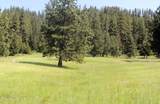 934 Elkhorn Meadows Rd - Photo 47