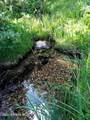  Crooked River Road - Photo 6