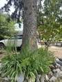329 Florence Ave - Photo 31