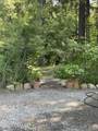 2256 Hoodoo Mountain Rd - Photo 25