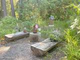 2256 Hoodoo Mountain Rd - Photo 36