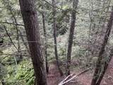 2256 Hoodoo Mountain Rd - Photo 39