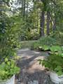 2256 Hoodoo Mountain Rd - Photo 42