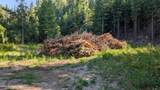 Tract 2 Deep Creak Loop Rd - Photo 6