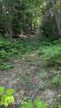 Tract 2 Deep Creak Loop Rd - Photo 7